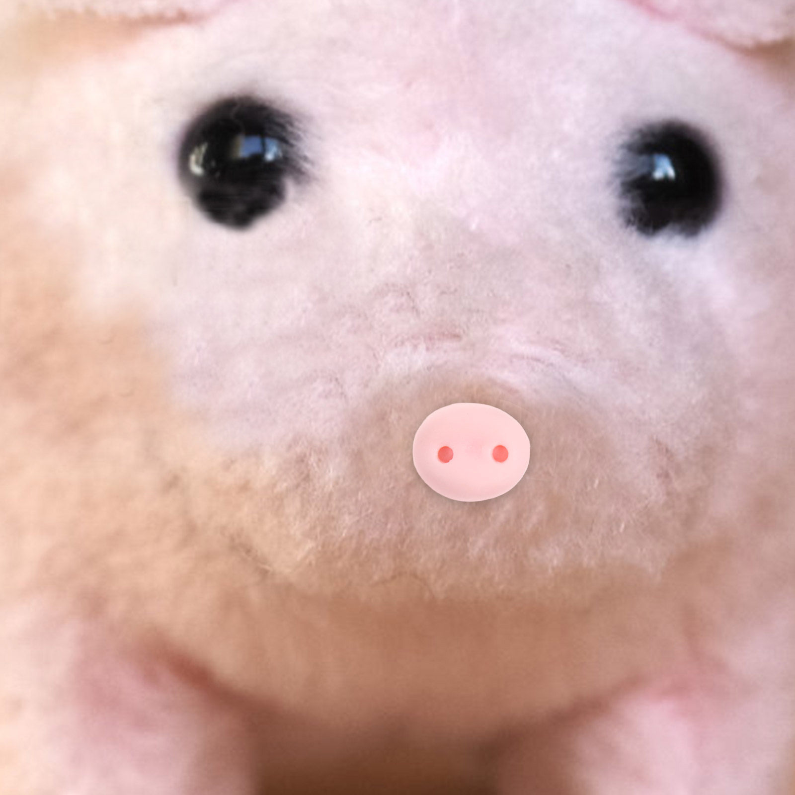Embellishment Glue Craft - 100Pcs Resin Pig Noses Craft Embellishments
