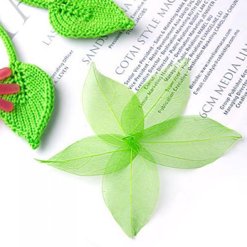 Natural Catbrier Skeleton Leav - Embellish Craft recension och pris