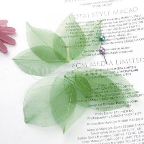 Natural Catbrier Skeleton Leav - Embellish Craft recension och pris